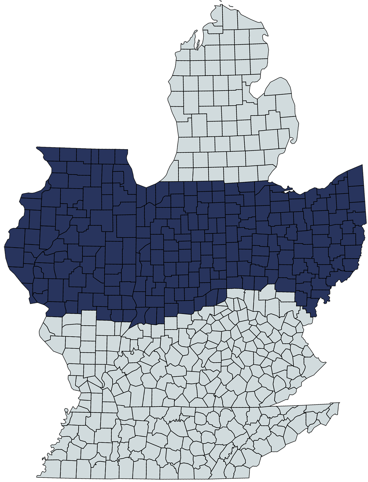 23A09 Purple Ribbon Seeds